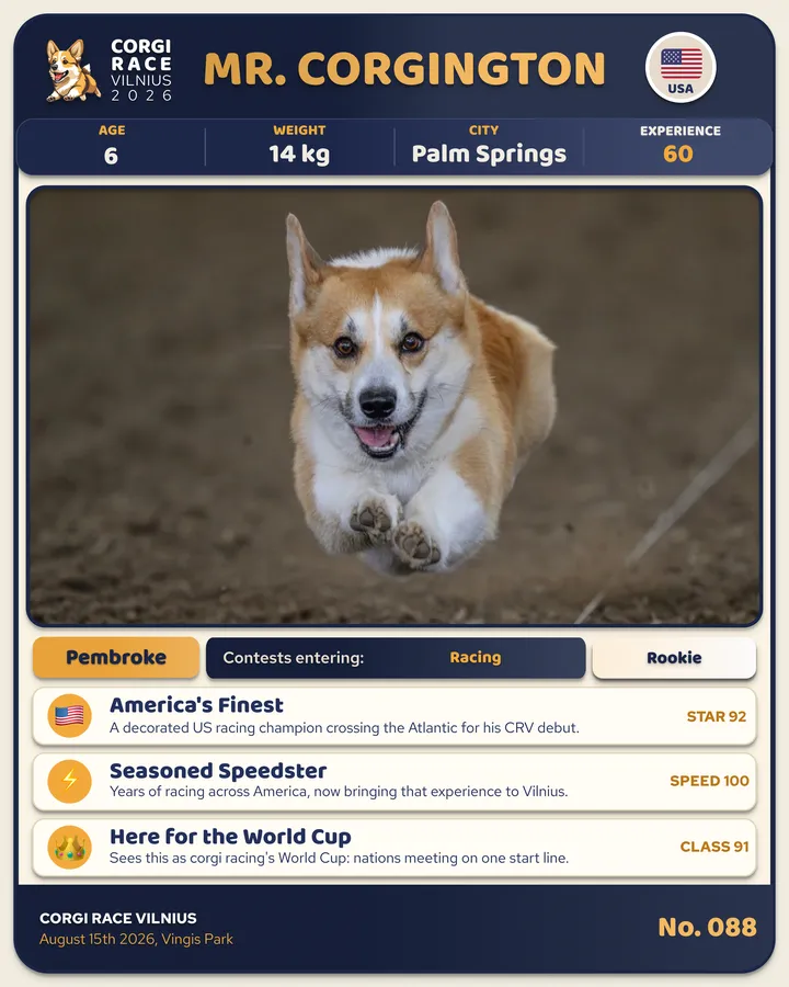 Mr. Corgington, 2026 m. korgio kortelė