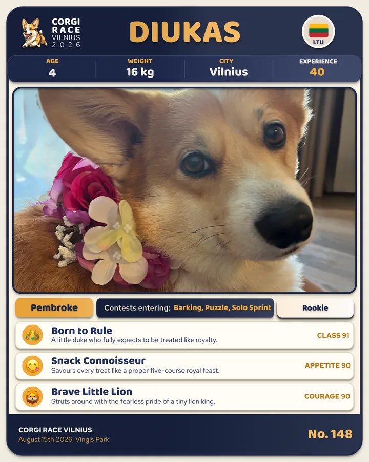 Diukas, 2026 m. korgio kortelė