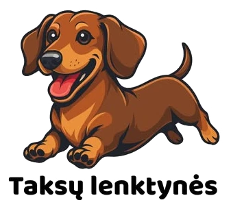 Taksų lenktynių logotipas
