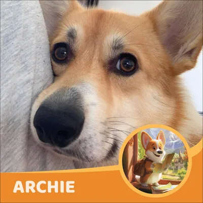 Archie