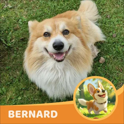 Bernard