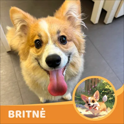 Britnė