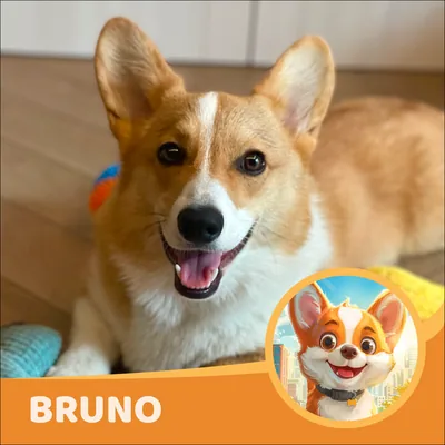 Bruno