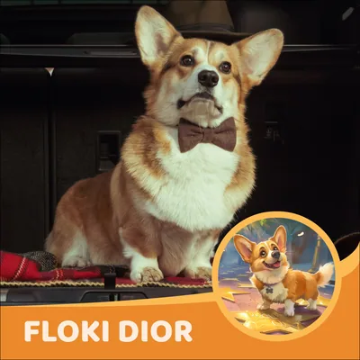 Floki Dior