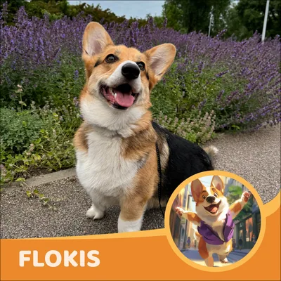 Flokis