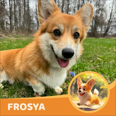 Frosya
