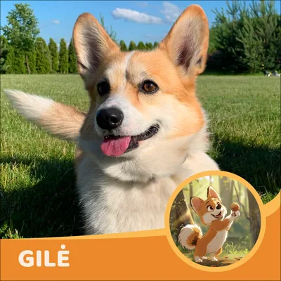 Gilė