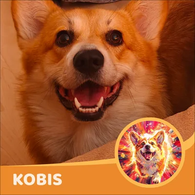 Kobis