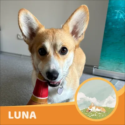 Luna