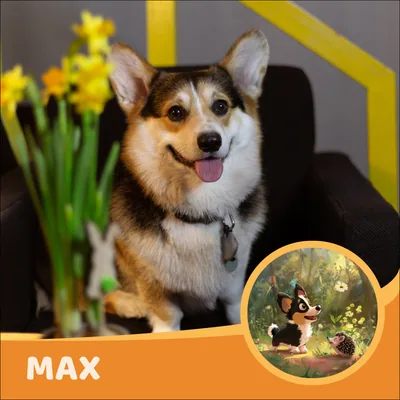 Max