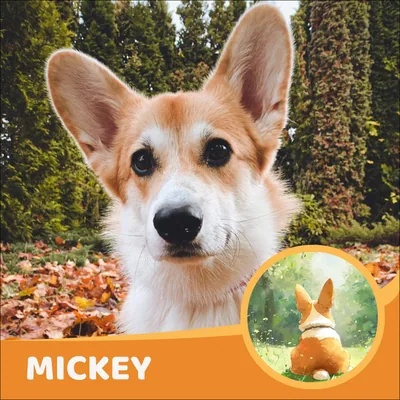 Mickey