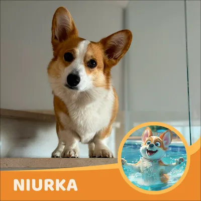 Niurka
