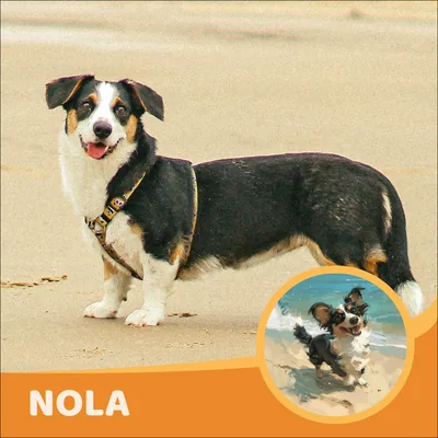 Nola