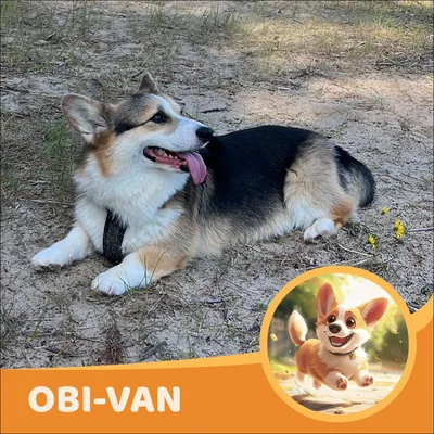 Obi-Van