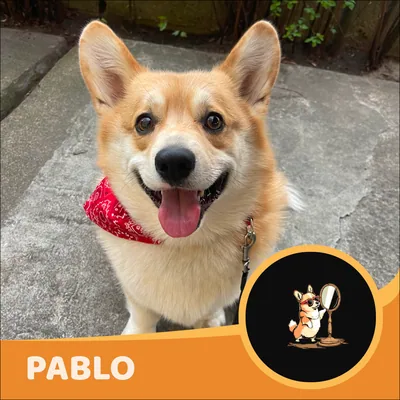 Pablo