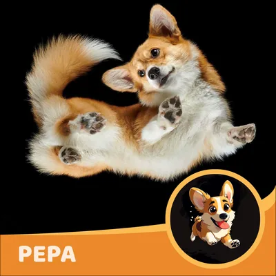 Pepa