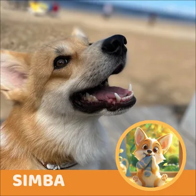 Simba