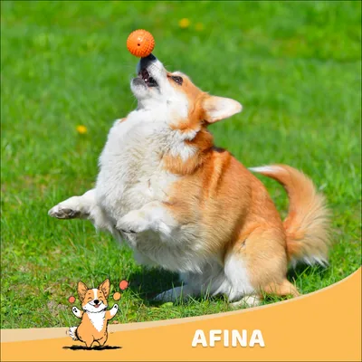 Afina