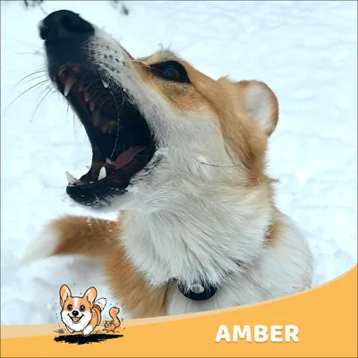 Amber
