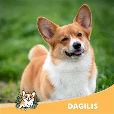 Dagilis