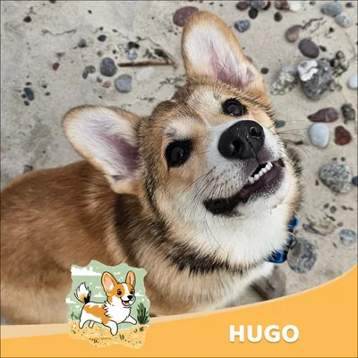 Hugo