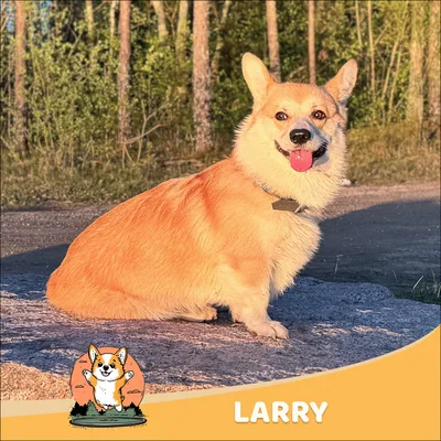 Larry