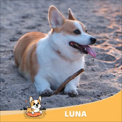 Luna