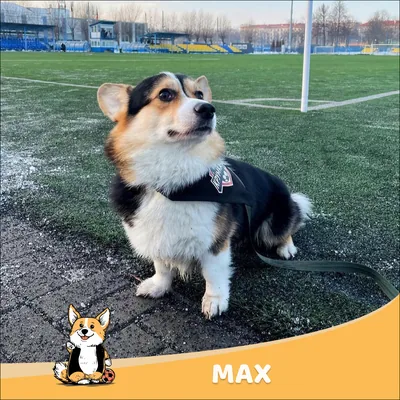 Max