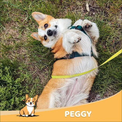 Peggy