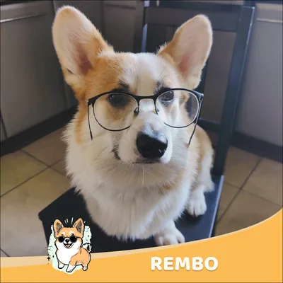 Rembo