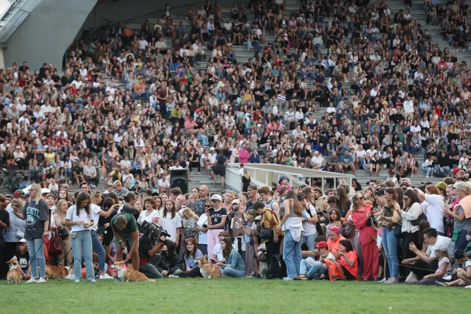 Corgi Race Vilnius