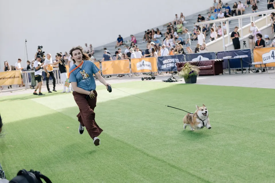 Corgi Race Vilnius