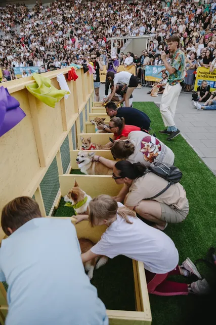 Corgi Race Vilnius