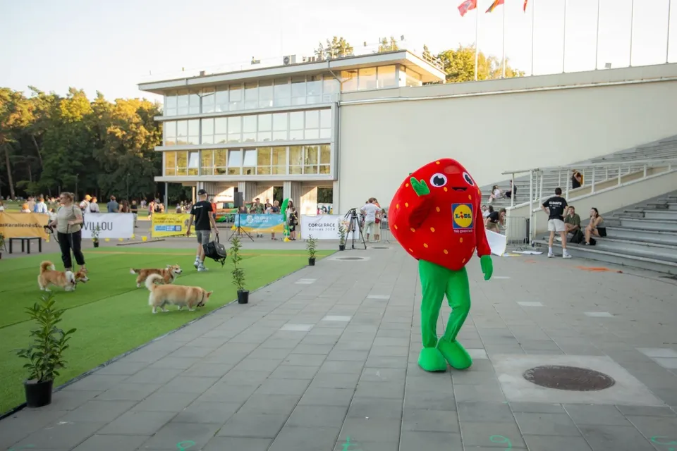 Corgi Race Vilnius
