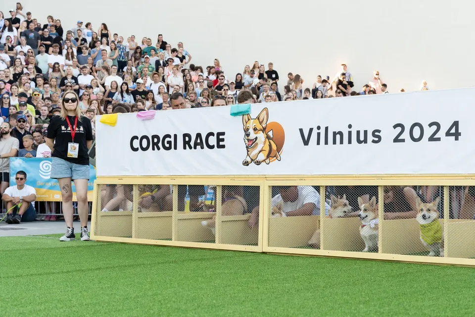Corgi Race Vilnius