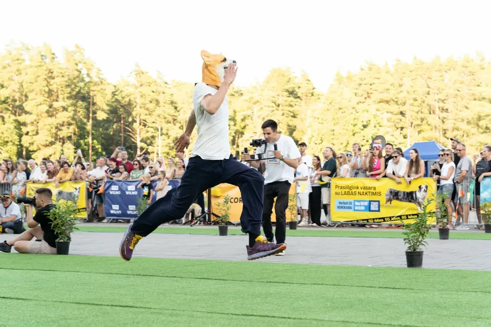 Corgi Race Vilnius