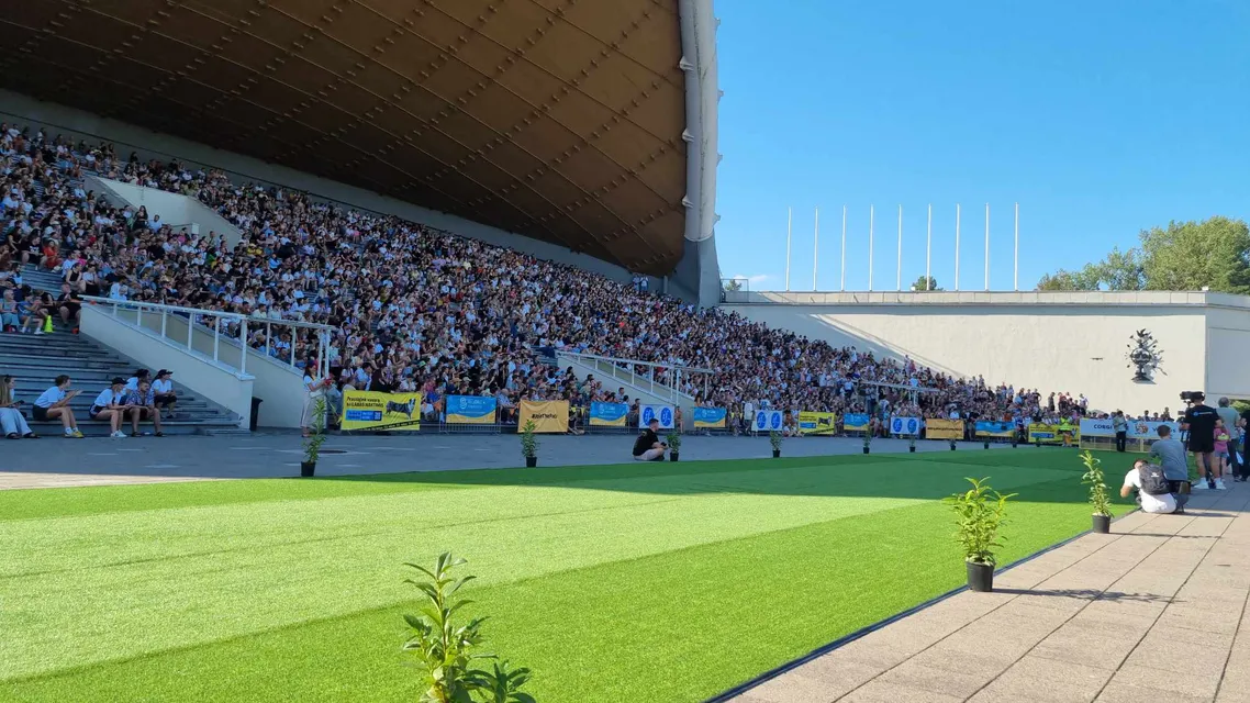 Corgi Race Vilnius